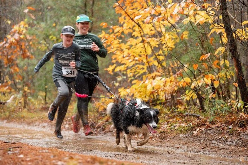 Une première édition de la Course des Belles Gueules au profit de la SPA Estrie